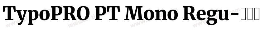 TypoPRO PT Mono Regu字体转换